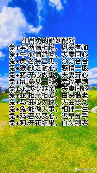生肖兔同什么属相合(生肖兔和什么属相最配?一文看懂🐰💡)