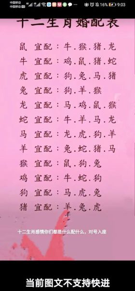 马麟属什么生肖属相的人（马麟属相查询：属马的真假？）