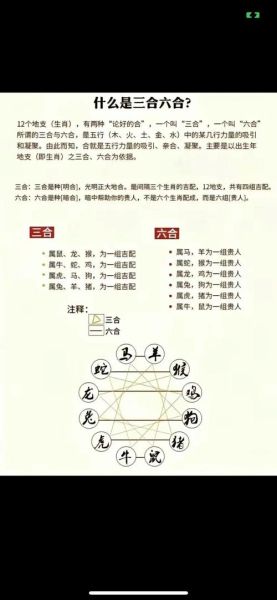 最旺生肖猴相合的属相（最旺生肖猴的三合贵人属相是哪三个）