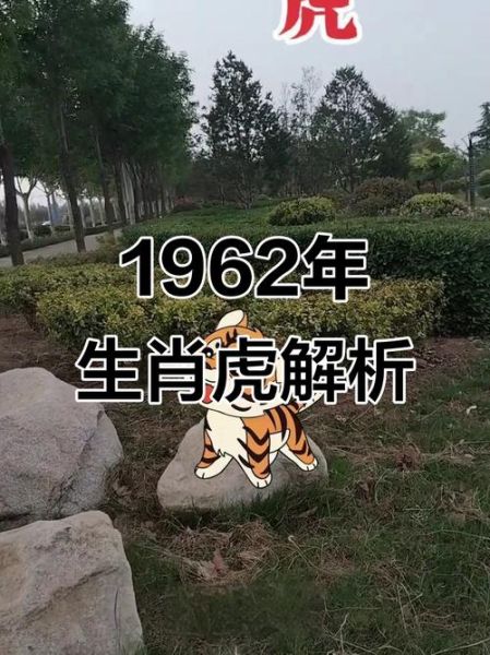 1962年属什么生肖属相属相(1962年属什么生肖?🐅)