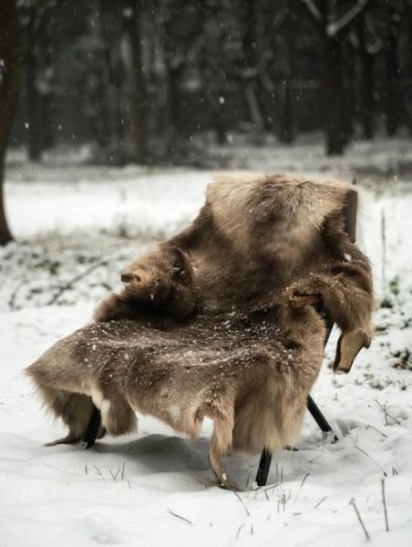 查芬兰属什么生肖属相（芬兰属什么生肖属相 🦌）