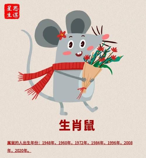 鼠年生肖属相运程（鼠年出生2025年运势大揭秘）