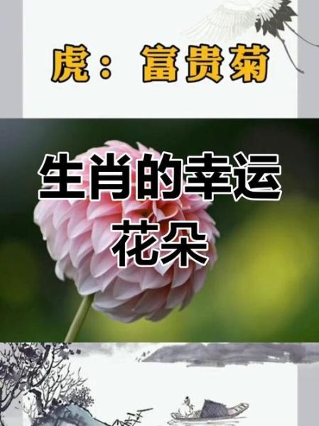 花与生肖属相搭配（生肖本命花怎么选最吉利）