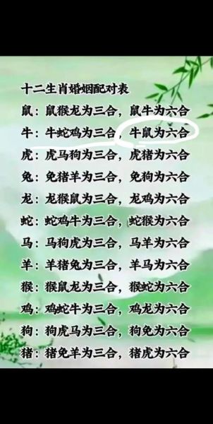 生肖猪和生肖鸡属相合吗（生肖猪和生肖鸡配吗）