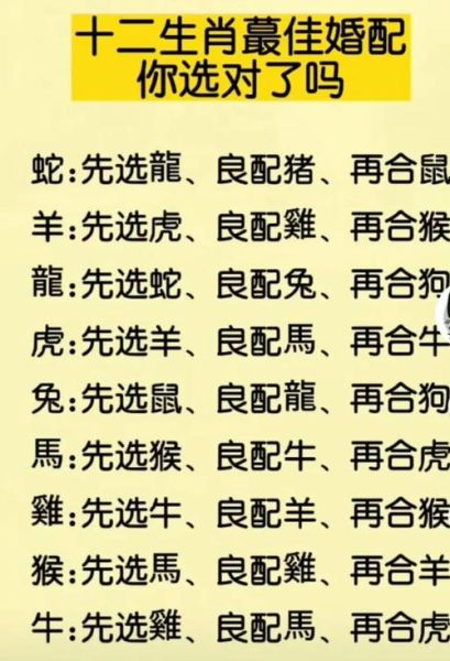 鸡狗属于什么生肖属相（鸡狗属于十二生肖之鸡🐔、狗🐶）