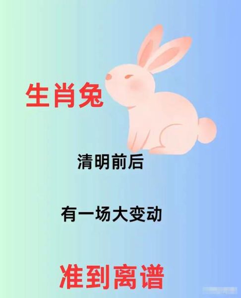 生肖兔的贵人属相是什么（生肖兔的贵人属相，新手一看就懂）