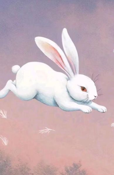 生肖兔的贵人属相是什么（生肖兔的贵人属相，新手一看就懂）