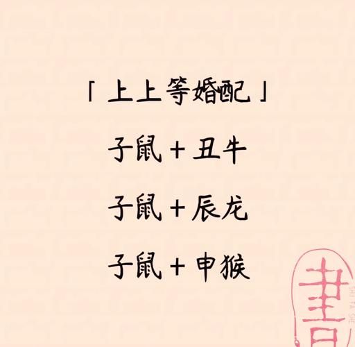 老鼠适婚生肖属相（老鼠婚配哪些属相最旺财？）