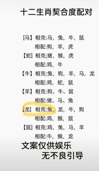 生肖属相婚配秘笈（龙男和兔女属相婚配好吗）