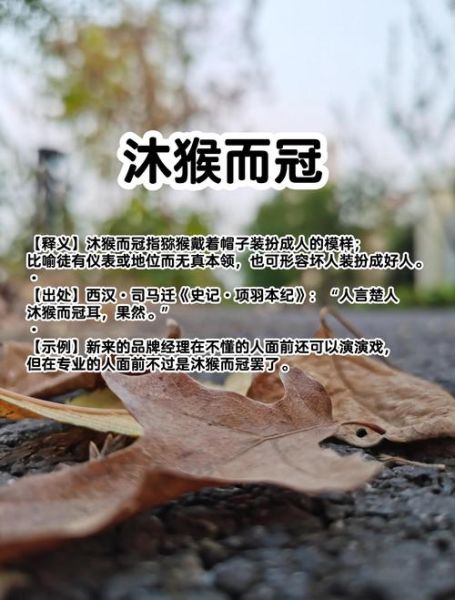 项羽的生肖属相（项羽属什么生肖）