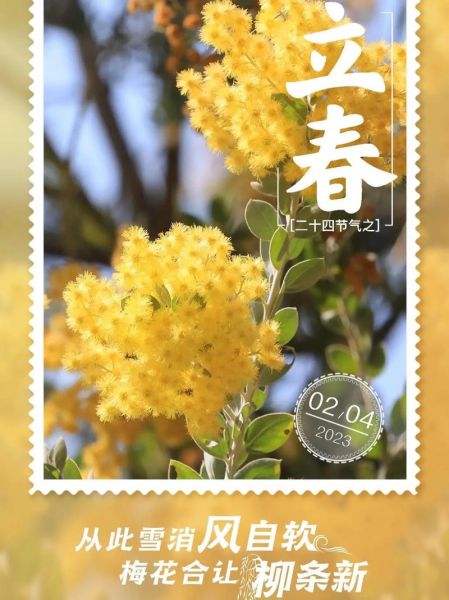 立春破太岁生肖属相(立春如何破太岁生肖兔?)