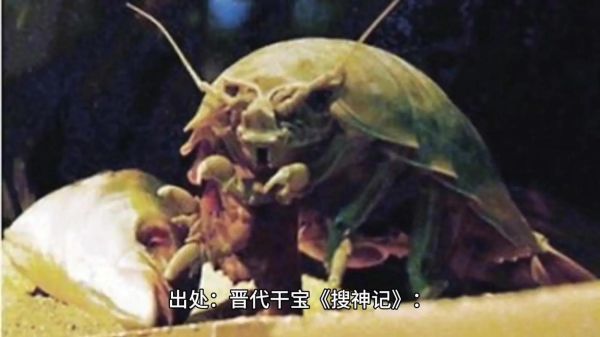 许慎生肖属相是什么生肖