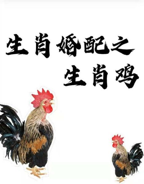 生肖鸡相配的属相是（生肖鸡相配的属相有哪些？）