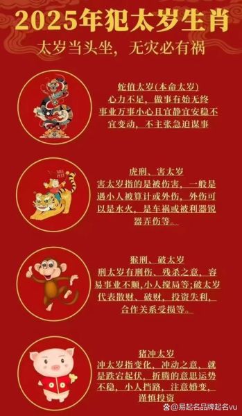 洪大夫什么生肖属相（洪大夫属什么生肖）