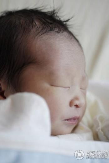 李家诚个人生肖属相(李家诚生肖是什么属相新手速查)