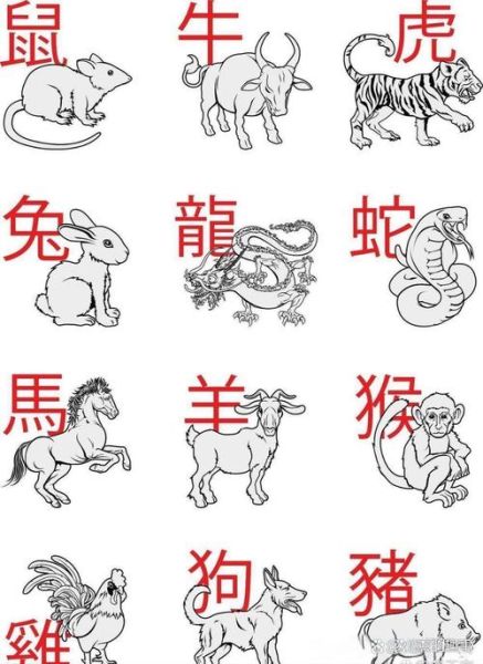 1997年属相什么生肖（1997年属什么生肖最准确🐂）