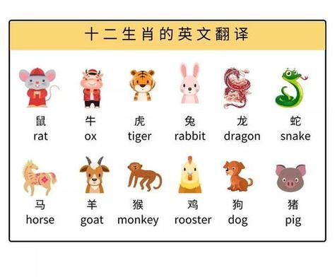 美国人有属相十二生肖吗（美国人有生肖属相吗？真相看这篇）