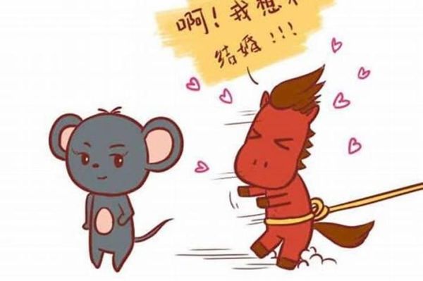 生肖鼠马属相相合吗(鼠马相合吗?婚姻到底搭不搭)
