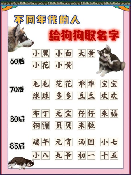 生肖狗属相取名男(属狗男孩起名宜忌字参考)