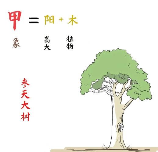 甲木是什么生肖属相（甲木属哪个生肖？新手速查指南）