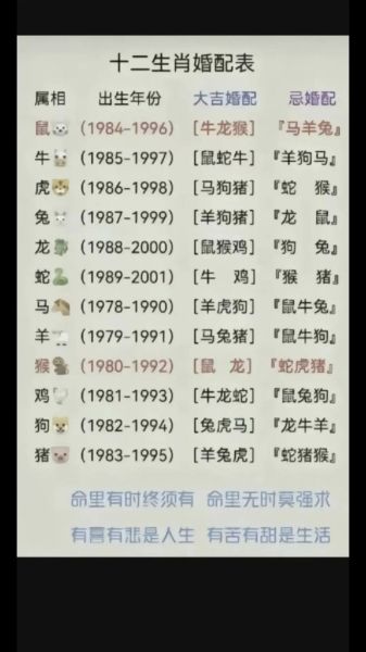生肖兔搭配属相（生肖兔最佳配对属相是哪）