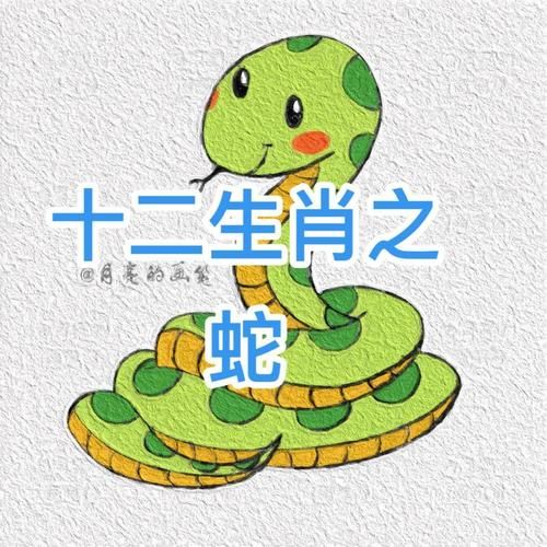 蛇属相前边是什么生肖（蛇前面是什么生肖？最直白的新手解答）