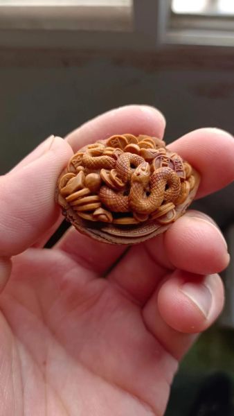 核桃的属相是什么生肖（核桃的属相是哪一生肖？小白秒懂查询）