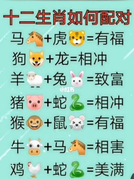 牛属相配什么生肖（牛属相配什么生肖最旺？小白入门避坑指南）
