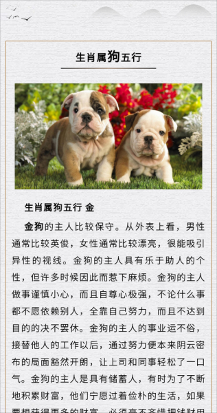 狗爸爸的生肖属相（属狗爸爸生什么宝宝好）