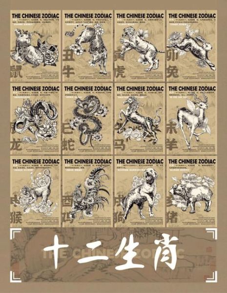 生肖属相家居装饰（生肖属相家居装饰配色禁忌❗）