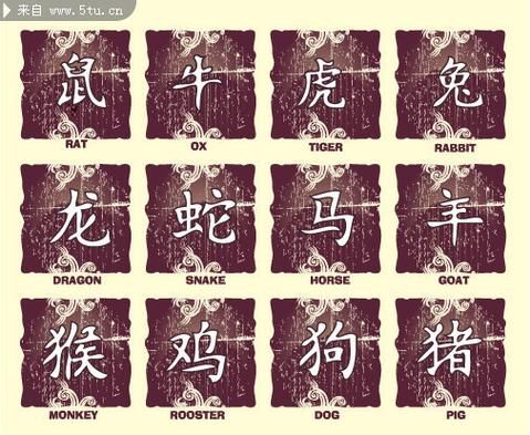 一二五四二生肖属相（一二五四二是什么生肖属相）