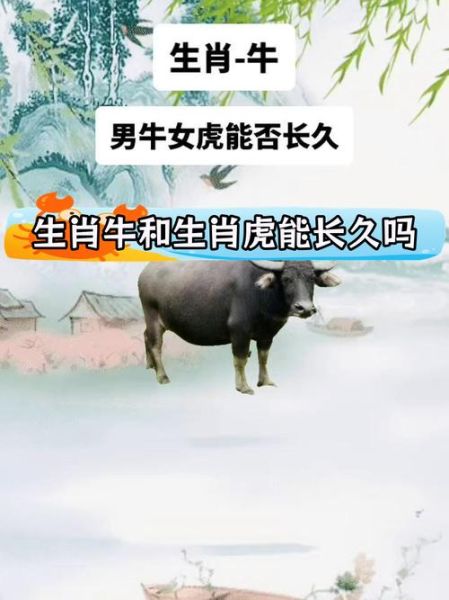 适合做夫妻生肖的属相（属虎和属牛适合做夫妻吗）