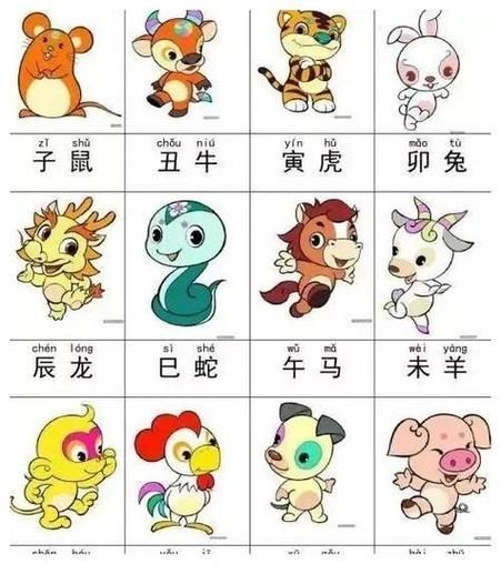 2022年属相什么生肖（2022年属什么生肖）