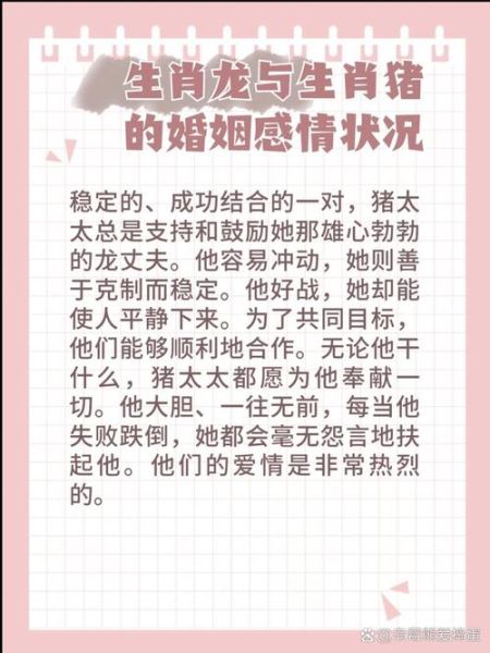 生肖属相搭配大全（生肖龙男猪女真的最配吗）