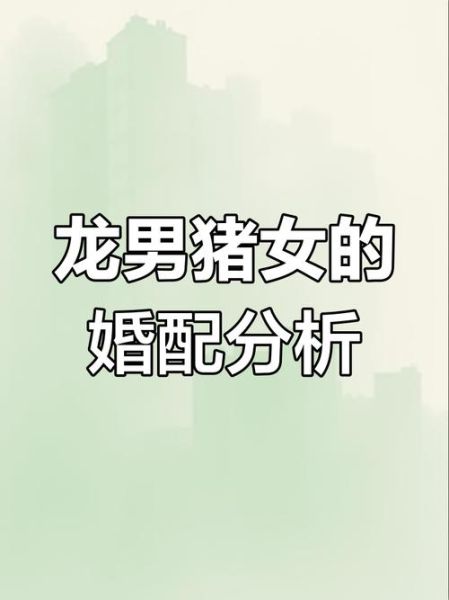 生肖属相搭配大全（生肖龙男猪女真的最配吗）