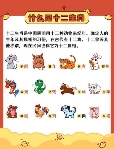 生肖属相收藏册（生肖属相收藏册怎么入门？新手必看攻略）