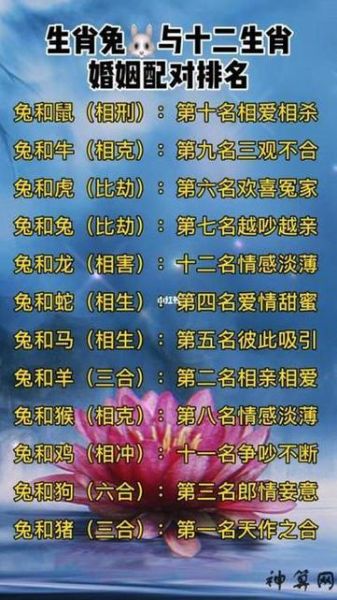 男人兔年配什么生肖属相（男人兔年配什么生肖最旺姻缘）