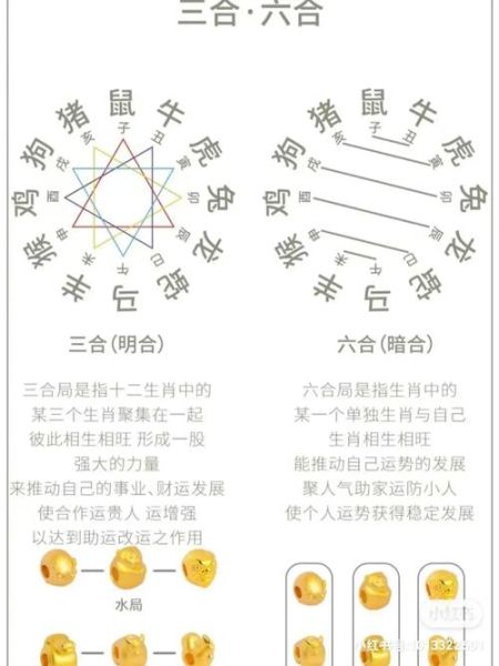 生肖推算属相（生肖推算属相最简方法）