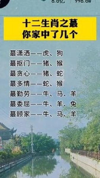 带老公属相生肖（带老公属相生肖有什么讲究）