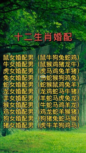 夫妻生肖配对情侣属相（夫妻生肖配对情侣属相运势查询）
