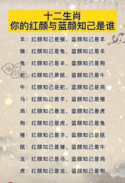 生肖感悟属相的句子(十二生肖一句话解读人生感悟)