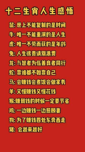 生肖感悟属相的句子(十二生肖一句话解读人生感悟)