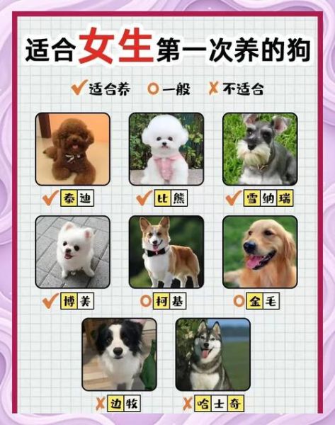 生肖狗讨厌哪个属相女（生肖狗最忌哪类属相女？速查避坑帖）