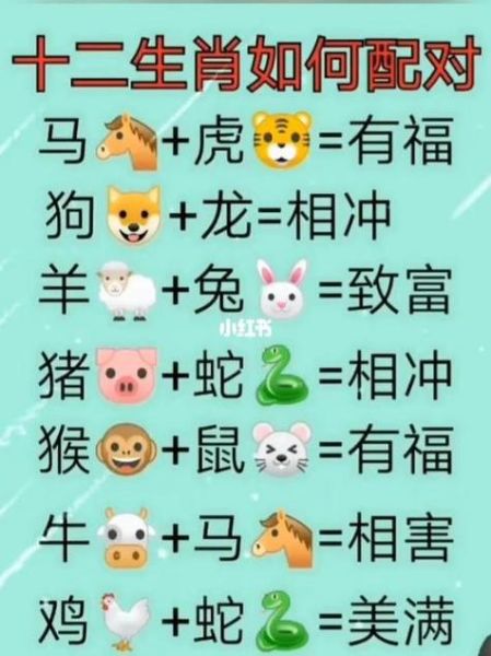 娶老婆看生肖还是属相（娶老婆看生肖还是属相？新手必看）