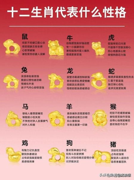 12生肖属相码表（12生肖属相码表查询指南）