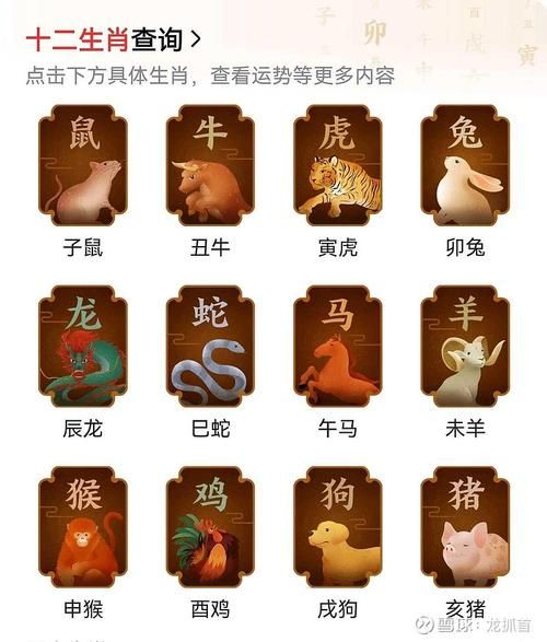 蛇后面属相是什么生肖