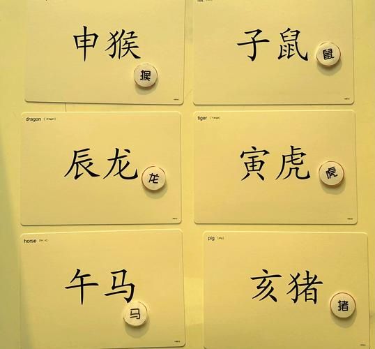 怎样查破生肖属相（怎么查破自己属相？3分钟傻瓜教程）