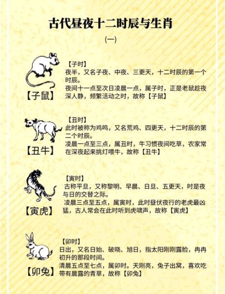 生肖属相趣味研究论文（生肖属相是怎么划分的，新手秒懂）