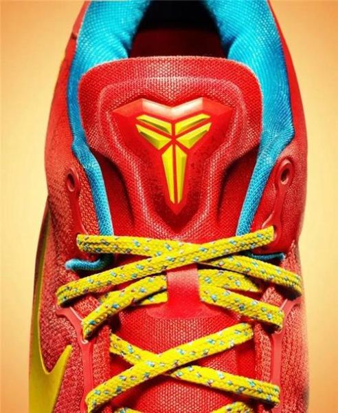 科比的生肖属相（科比属什么生肖答案在这）