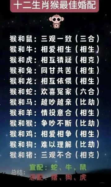 生肖配对表属相图片（2024新版生肖配对表图片高清下载）